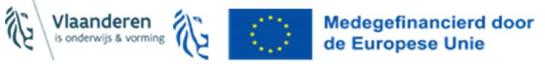 Logo ESF, Europa en Vlaanderen is werk